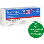 Karsivan 100 mg 60 tbl – Zboží Dáma