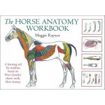 The Horse Anatomy Workbook - M. Raynor – Hledejceny.cz