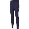 Pánské tepláky Puma kalhoty teamLIGA Training pants Pro 65733206