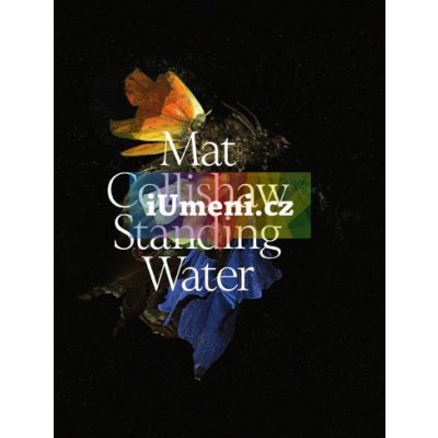 Mat Collishaw. Standing Water | Petr Nedoma, Otto M. Urban