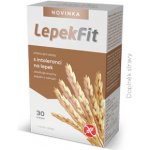 Salutrm Pharma LepekFit 30 tablet – Hledejceny.cz