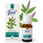 Just Olej 3 Mint Mix 10 ml – Hledejceny.cz