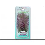 Tetra rostlina Red Foxtail Plus 15 cm – Zboží Dáma
