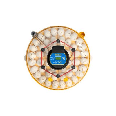 Brinsea Maxi 48 Advance automatická líheň pro slepice a husy – Hledejceny.cz