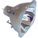 Lampa pro projektor NEC NP2250, kompatibilní lampa bez modulu