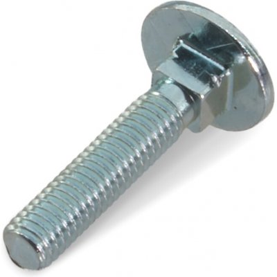 Šroub vratový M5x25, 4.8, zn, DIN 603/555 – Zboží Mobilmania