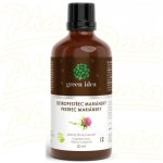 Green idea Ostropestřec tinktura 50 ml – Hledejceny.cz
