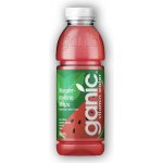 Ganic Vitamin voda meloun/máta 0,5 l – Hledejceny.cz