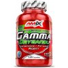 Amix Gamma Oryzanol 90 kapslí