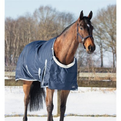 QHP Ochranný díl na plec na deku modrý – Hledejceny.cz