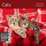 Nástěnný poznámkový Cats 2025 – Zboží Mobilmania