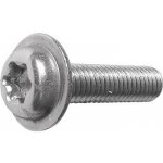 Šroub přístrojový s čočkovitou hlavou a límcem ECO-FIX M2.5x6 TX8, nerez A2 (100 ks) – Hledejceny.cz