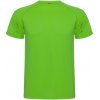Pánské sportovní tričko Roly tričko Montecarlo sportovní pánské krátký rukáv E0425-226 Zelené kapradí