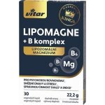 Vitar Kings Lipomagne + B komplex 30 kapslí – Hledejceny.cz