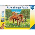 Ravensburger Koně na pastvině 100 dílků – Hledejceny.cz