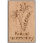 Dřevěné přání - Krásné narozeniny – Hledejceny.cz