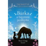 Búrka a tajomná jazdkyňa – Hledejceny.cz