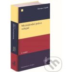 Mezinárodní právo veřejné - Pavel Šturma, Čestmír Čepelka – Hledejceny.cz