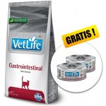Vet Life Natural Cat Gastro Intestinal 2 kg – Hledejceny.cz