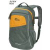 Jack Wolfskin batoh Track Jack Hedge green