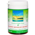 TCM Herbs Souznění kouzelné proměny 100 tablet – Hledejceny.cz