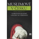 Muslimové v Česku - Etablování muslimů a islámu na veřejnosti - Topinka Daniel