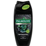 Palmolive Men Refreshing 2v1 sprchový gel 250 ml – Hledejceny.cz