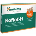Himalaya Koflet H Ginger 12 pastilek – Hledejceny.cz