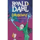 Čarodějnice - Roald Dahl