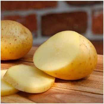 Sadbové brambory Belana - Solanum tuberosum - Kiepenkerl - 10 ks