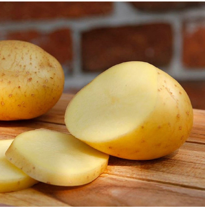 Sadbové brambory Belana - Solanum tuberosum - Kiepenkerl - 10 ks