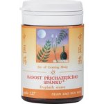 TCM Herbs Radost přicházejícího spánku 100 tablet – Hledejceny.cz