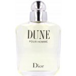 Christian Dior Dune toaletní voda pánská 100 ml – Zboží Mobilmania