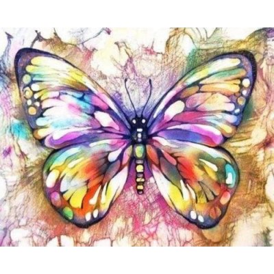 Figured ART Vyšívání křížkové sada Motýl a barvy