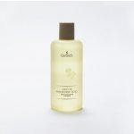 Gerard's Olio Di Mandorle Dolci olej ze sladké mandle 250 ml – Sleviste.cz