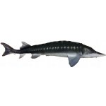 Gaby polštář ryba Jeseter giant 120 cm – Zboží Dáma