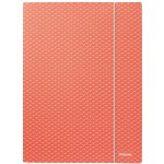 Esselte Colour'Breeze A4 Desky s chlopněmi a gumičkou kartonové korálové 1 ks – Hledejceny.cz