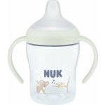 NUK Perfect Match lahvička na učení svíticí KOALA 150 ml – Hledejceny.cz