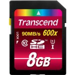 Transcend SDHC 8 GB Class 10 TS8GSDHC10 – Zboží Mobilmania