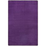 Hanse Home Koberec Fancy 103005 Lila – Zboží Mobilmania