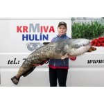 Gaby polštář ryba Sumec monster 200 cm – Hledejceny.cz