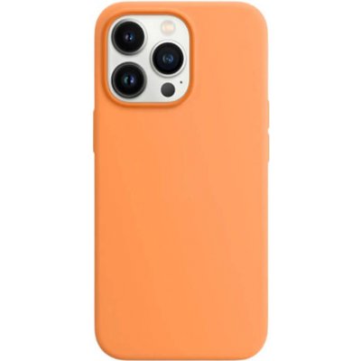 Pouzdro SES Magnetic Leather MagSafe kožené Apple iPhone 11 - oranžové – Zboží Mobilmania