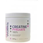 NutriWorks Creatine Pyruvate 250 g – Hledejceny.cz