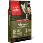Orijen Cat Tundra 2 x 5,4 kg – Hledejceny.cz