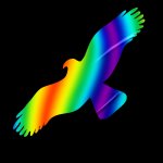 Silueta dravce Direct rainbow proti narážení ptáků do oken z holografické fólie Silueta dravce z holografické folie Fantasy rainbow (80 x 200 mm tl. 0,065 mm) - kód: 24601 – Zboží Dáma