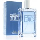 Avon Individual Blue toaletní voda pánská 100 ml