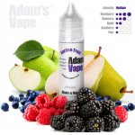 Adams vape Shake & Vape Garden Fruit 12 ml – Zbozi.Blesk.cz