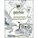 Harry Potter: Mudlovské omalovánky