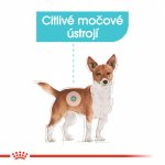 Royal Canin Mini Urinary Care 3 kg – Zboží Mobilmania