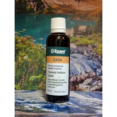 Roni Epam kapky tinktura Čaga 50 ml – Hledejceny.cz